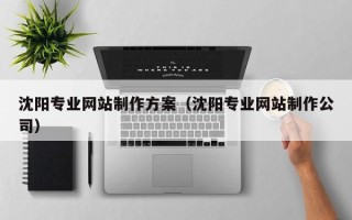 安溪沈阳专业网站制作方案（沈阳专业网站制作公司）